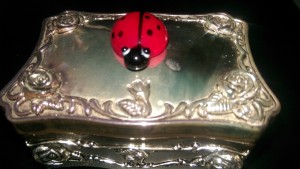 Lady Bug on Silver Box                    