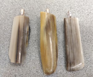 Display Pet Wood Pendants          